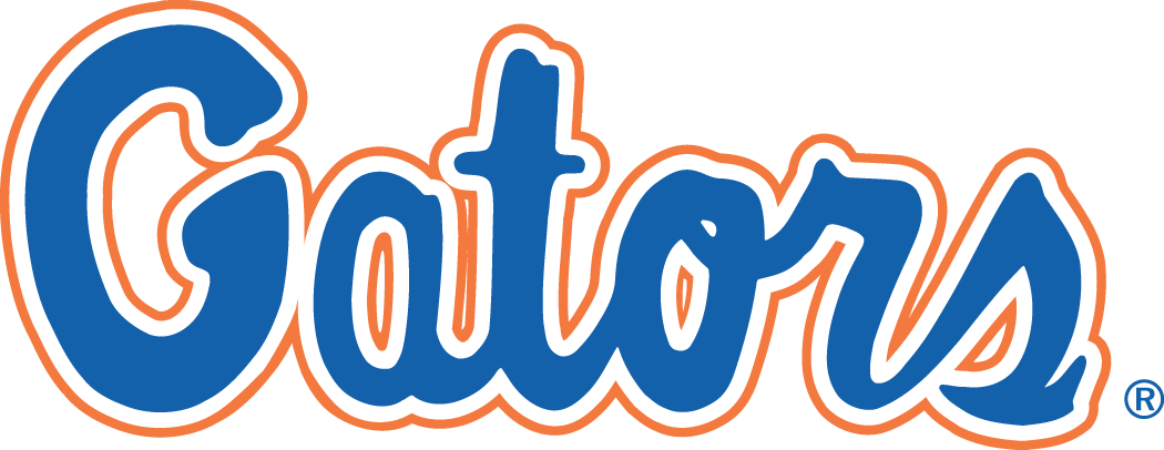 Florida Gators 1979-Pres Wordmark Logo v2 iron on transfers for T-shirts